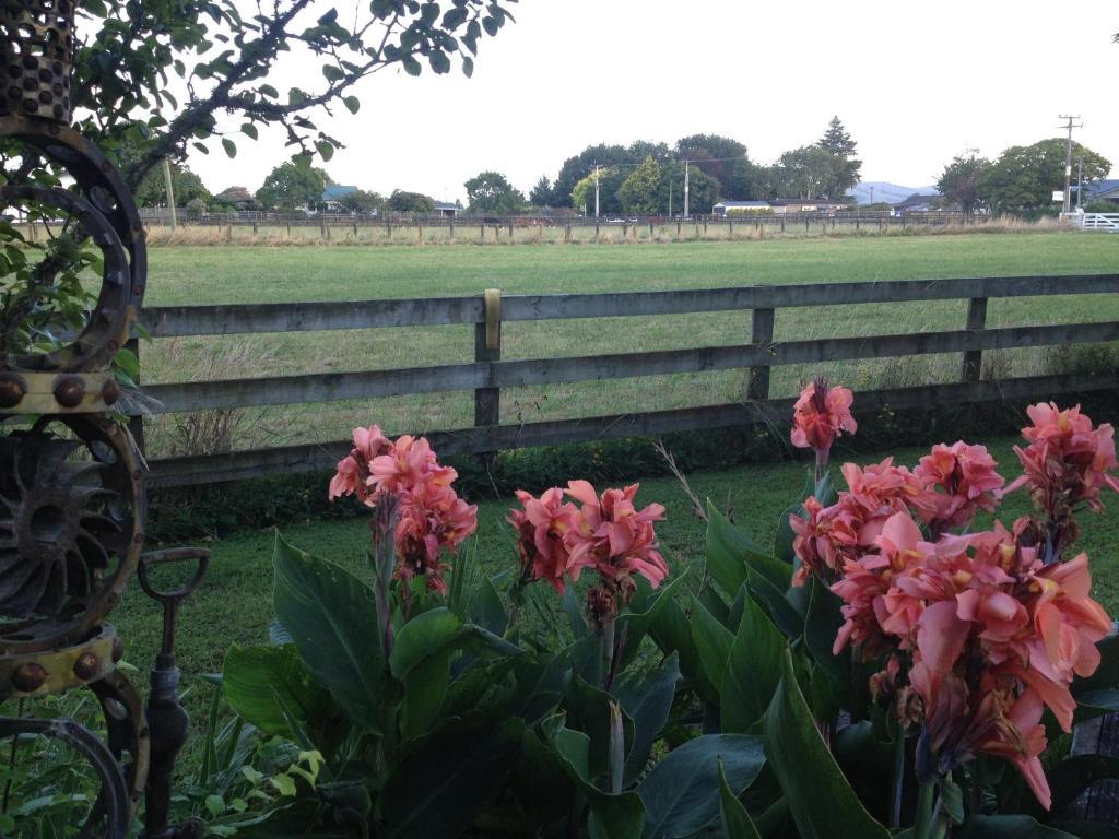 Blairgowrie House Bed & Breakfast เคมบริดจ์ ภายนอก รูปภาพ